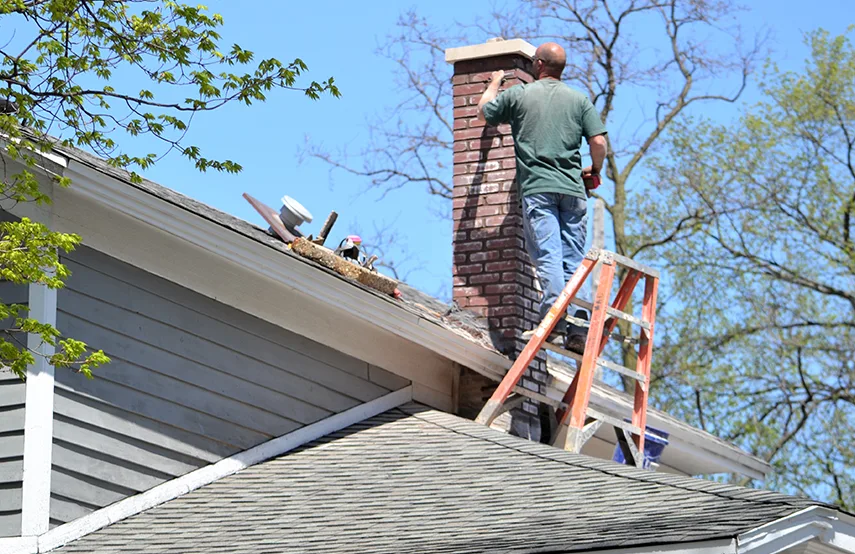 Chimney & Fireplace Inspections Services in Las Cruces, NM